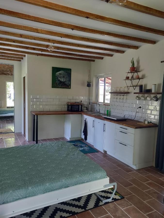 Ferienwohnung Chez Chapelle In The Heart Of The Gascony With Pool And Hot Tub Auch Exterior foto