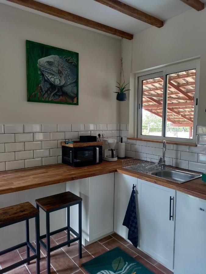Ferienwohnung Chez Chapelle In The Heart Of The Gascony With Pool And Hot Tub Auch Exterior foto